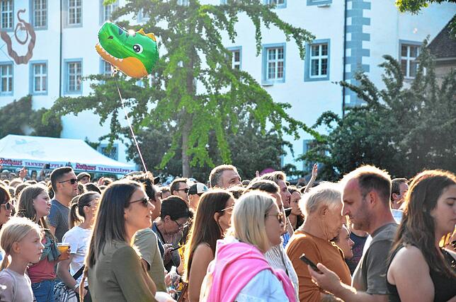 Bild 35: 5000 Besucher feiern OneRepublic beim Salem Open Air &ndash; hier gibt es die Bilder