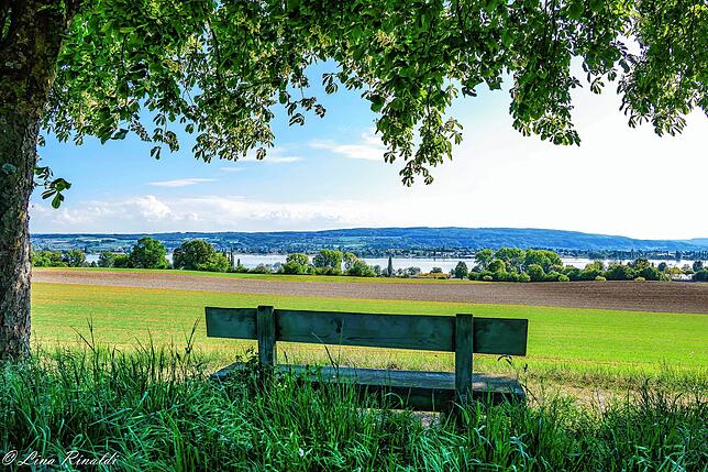 Grüne Wiesen weit und breit. Auf der Höhe der Kliniken Schmieder lässt sich dieser Ausblick von einer Bank genießen.