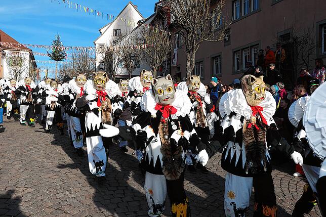 Bild 26: Fasnetszauber in Engen: Jubiläumsumzug 2025 in beeindruckenden Bildern