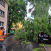 Von einem herabstürzenden Baum zugedeckt wurde dieses Auto am Goetheplatz. Polizei und ein Mitarbeiter der Stadtwerke begutachten die ...