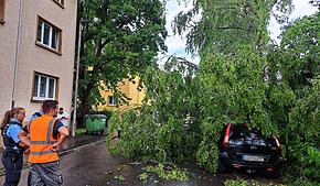 Von einem herabstürzenden Baum zugedeckt wurde dieses Auto am Goetheplatz. Polizei und ein Mitarbeiter der Stadtwerke begutachten die ...