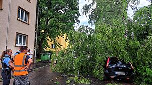 Von einem herabstürzenden Baum zugedeckt wurde dieses Auto am Goetheplatz. Polizei und ein Mitarbeiter der Stadtwerke begutachten die ...