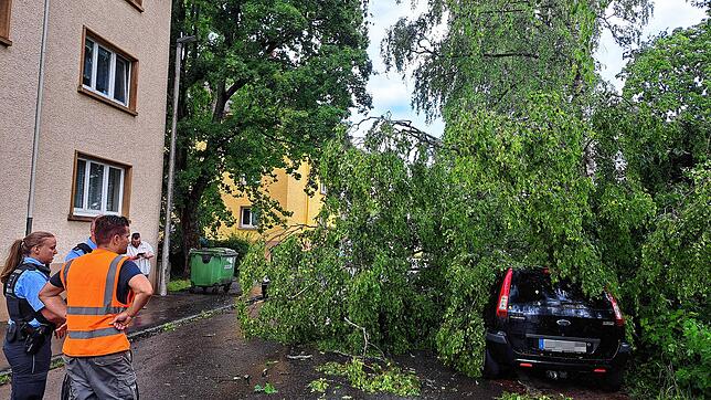 Von einem herabstürzenden Baum zugedeckt wurde dieses Auto am Goetheplatz. Polizei und ein Mitarbeiter der Stadtwerke begutachten die ...