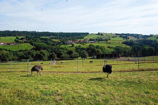 Blick hoch über Außer Ay auf umliegende Dörfer.