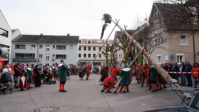 Mit Manneskraft: Meter für Meter heben auf dem Tiengener Marktplatz starke Arme den Narrenbaum mit dem Bög an der Spitze in den ...