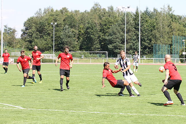 Bild 22: SV 08 Laufenburg feiert Kantersieg gegen den FSV Rheinfelden &ndash; und wir haben die Bilder!
