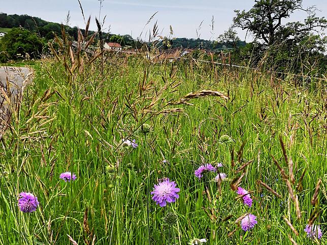 Bild 10: Wandern vor der Haustür (Teil 5): Von Indlekofen zum Haselbach-Wasserfall