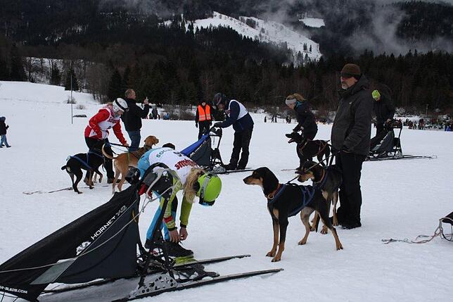 Bild 35: Das Internationale Schlittenhunderennen in Todtmoos 2019 in Bildern