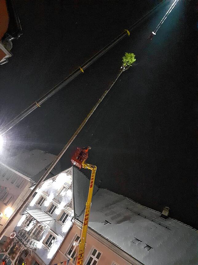 Bild 8: Plötzlich stand der große Narrenbaum! Bilder von der ungewöhnlichen Aktion am Mittwochabend in Stockach