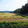 Hier soll das neue Gewächshaus des Pestalozzi Kinder- und Jugenddorfs entstehen. Rechts im Bild die Bäume an der Stockacher Aach. ...