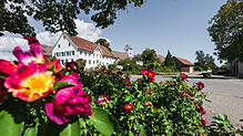 Unzählige Rosen-Anlagen prägen das gesamte Dorfbild in Nöggenschwiel. Bereits am Dorfeingang werden Sie im Sommer von der bunten ...