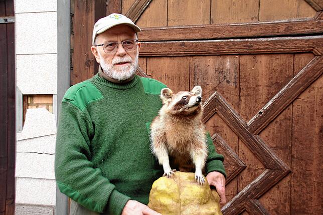 Kreisjägermeister und Stadtjäger Kurt Kirchmann mit einem ausgestopften Waschbären. Auch diese Tiere sind bei uns mittlerweile heimisch.