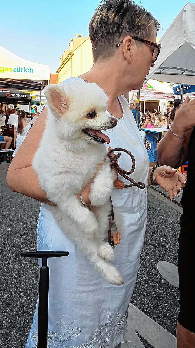 Bild 31: So schön wird beim Dorffest in Dangstetten gefeiert