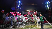 Mit sechs Kaltblutpferden in der Manege: Zirkusdirektor Andre Kaiser lässt die Tiere im Circus Alessio Walzer tanzen und vergisst nicht, ...