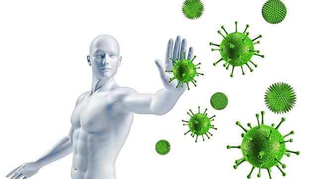 Bild : Crashkurs Immunsystem: Wie unsere Abwehrkräfte leistungsfähig bleiben