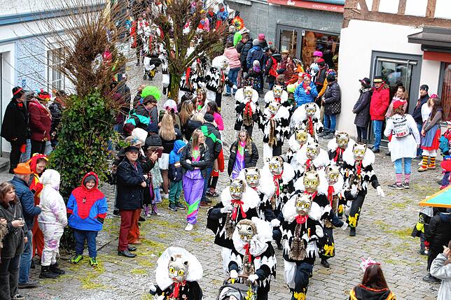 Umzug am Fasnetsmändig in Meßkirch: Die Katzen der Meßkircher Katzenzunft.