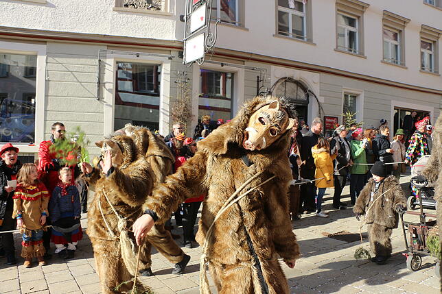 Bild 12: So schön war der Fasnetsmäntig-Umzug in Pfullendorf (4)