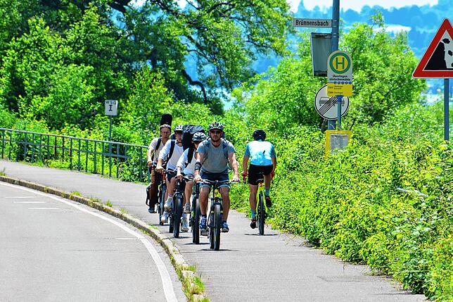 Der Radweg entlang der Kreisstraße zwischen Brünnensbach und Abzweigung Goldbach von der B 31-alt ist eng, sobald sich Radler ...