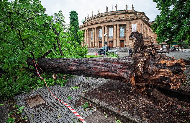 Ein umgestürzter Baum liegt vor dem Opernhaus. Ein starkes Unwetter war über weite Teile Baden-Württembergs hinweggezogen und hatte ...