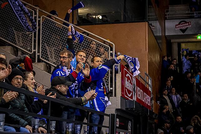 Bild 37: Bilder: Wild Wings vs. Krefeld Pinguine
