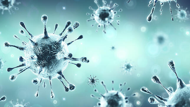Die Darstellung eines Sars-Cov-2-Virus.