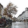 Seit 30 Jahren steht die Eiche einsam und alleine auf der Marktstätte. Gesellschaft wurde ihr bereits versprochen, warum aber lässt sie ...