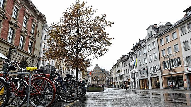 Seit 30 Jahren steht die Eiche einsam und alleine auf der Marktstätte. Gesellschaft wurde ihr bereits versprochen, warum aber lässt sie ...