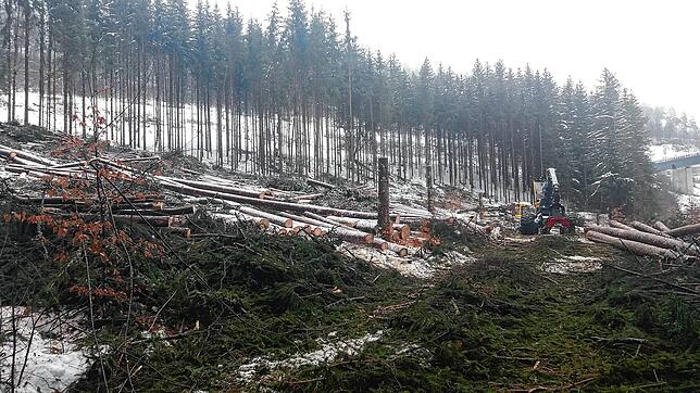 Mit einem Holzvollernter wird der Wald im Februar bei Döggingen nahe der Gauchachtalbrücke gerodet.
