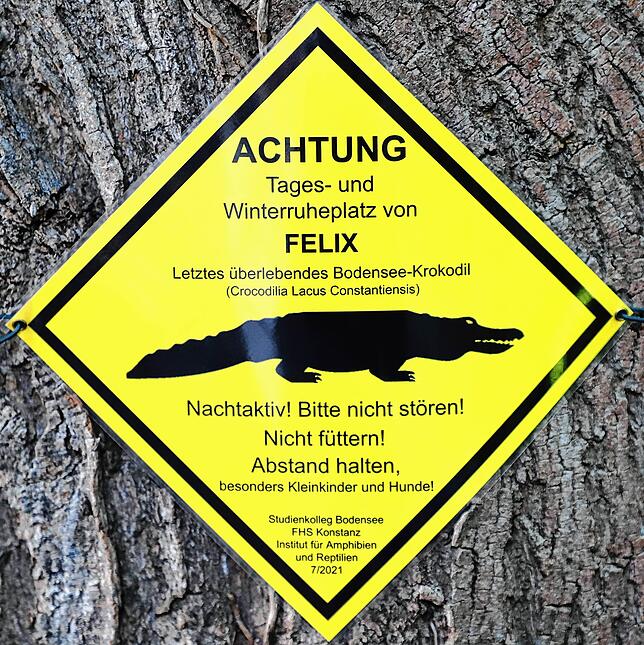 „ACHTUNG – Tages- und Winterruheplatz von Felix – Letztes überlebendes Bodensee-Krokodil (Crocodilia Lacus ...