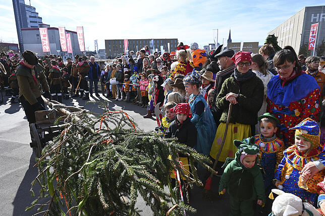 Bild 9: Bilder vom Kinderbaumstellen