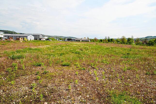 Auf dieser Fläche im Gewerbegebiet Horheim (im Hintergrund ist der Wutach Campus zu sehen) soll ab Herbst 2024 Mode verkauft werden.