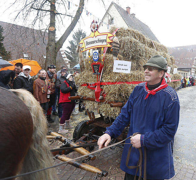 Bild 17: Bilder zum großen Narrentreffen in Pfohren (2)