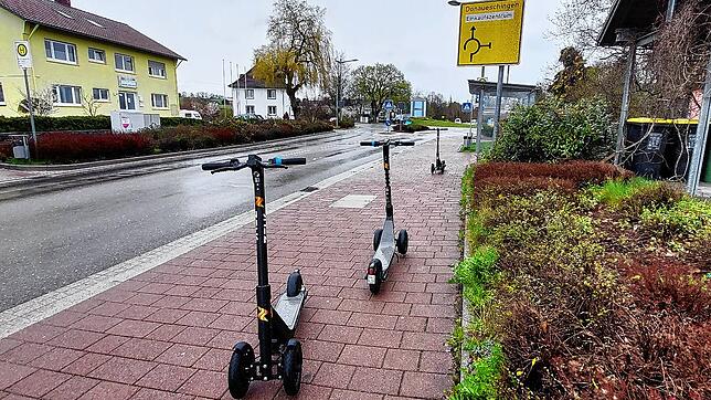 Nach zwei Monaten Testphase sind die dreirädrigen Roller keine Seltenheit im Alltagsverkehr von Donaueschingen. Häufig können sie etwa ...