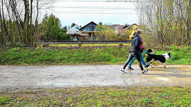 Tabula rasa am Bahndamm: Die Schneise ist Gegenstand einer Überprüfung. Jetzt hat die Stadt Radolfzell Selbstanzeige im Landratsamt ...