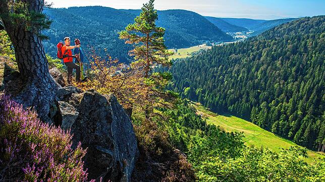 Wanden auf dem Albsteig: Auch dies ist mit den Freizeitbussen, die ab sofort wieder fahren, auch ohne Autoanreise möglich. Die Aufnahme ...