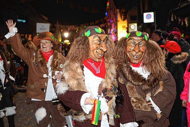 Bild 18: Nachtumzug Möggingen 2025: Fasnacht in Bildern – 30 Gruppen in voller Pracht