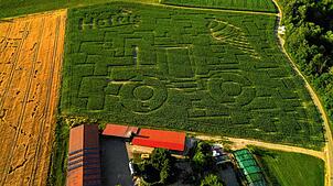 Das Motiv in diesem Jahr setzt sich zusammen aus zwei für den Altschorenhof sehr bekannten Dingen: einem großen Traktor und einer ...
