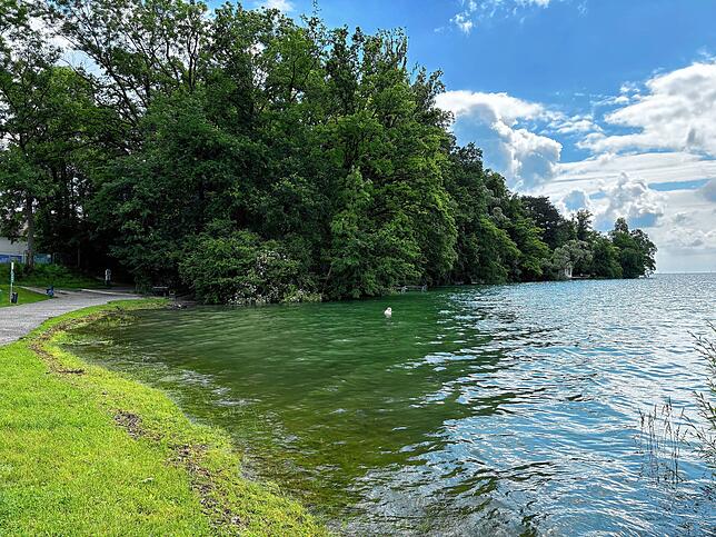 Und auch die Schmugglerbucht, in der die Konstanzer sich sonst gerne treffen, ist komplett mit Wasser bedeckt.
