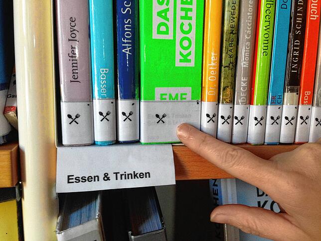 Jeder Sachbuchbereich wurde mit einer eingängigen Minigrafik versehen.
