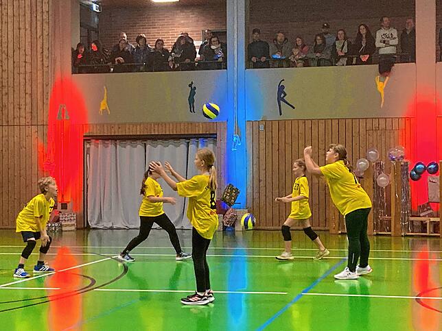 Bild 31: Nikolausturnschau des TV Bermatingen – hier gibt es die Bilder!