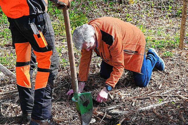 SÜDKURIER-Leser Gerd Bunjes schreitet selbst zur Tat und pflanzt einen Baum.