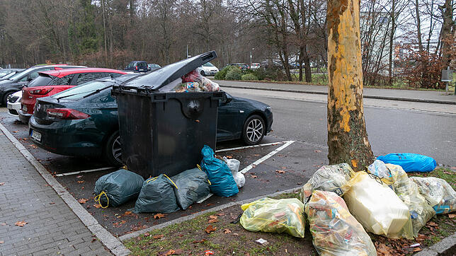 Der Müll wurde vielerorts noch nicht abgeholt, so auch hier in der Bloisstraße in der Waldshuter Bergstadt.