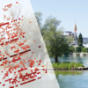 Die Hitze der Sommer in Rheinfelden lässt sich vor allem im Wasser aushalten. So wie hier am Inseli.