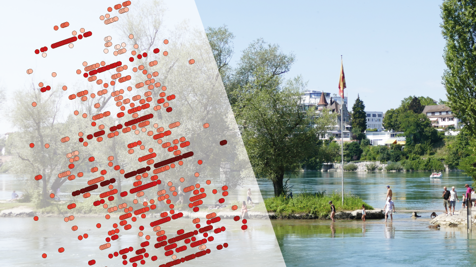 Die Hitze der Sommer in Rheinfelden lässt sich vor allem im Wasser aushalten. So wie hier am Inseli.