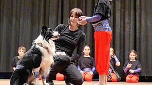 Bild : Zirkusvorstellung der Grundschule Bermatingen – Die besten Bilder