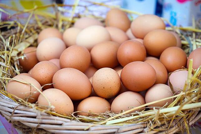 Eierweib