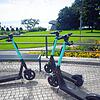 E-Scooter von Tier stehen am Uferpark in Friedrichshafen, hier beim Testlauf im Sommer 2021. Ab sofort stehen in der Stadt wieder 250 ...