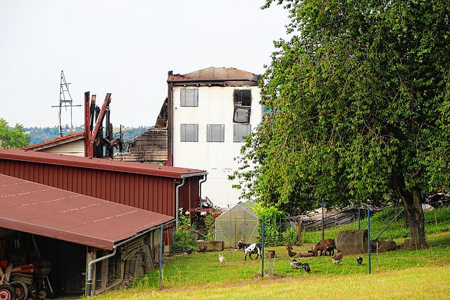 In unmittelbarer Nachbarschaft zum Brandort befindet sich ein landwirtschaftlicher Betrieb. Die Tiere konnten in Sicherheit gebracht werden.