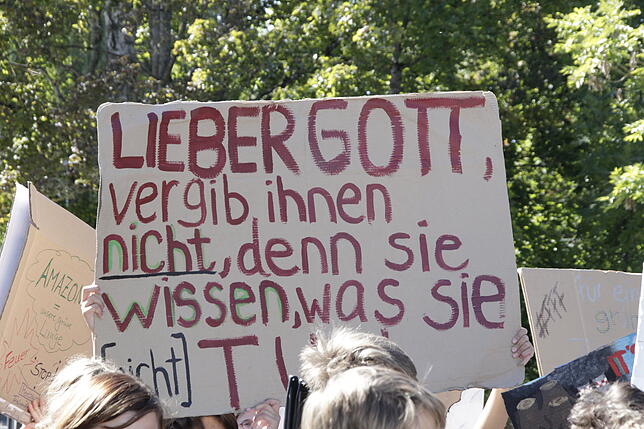 Bild 1: Bilder von der Fridays for Future-Demonstration in Villingen