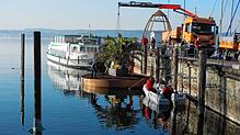 Der Kran setzt die Palme auf die Insel in eine vorbereitete Mulde. Wenn die Mitarbeiter des Bauhofs und der Stadtgärtnerei fertig sind, ...